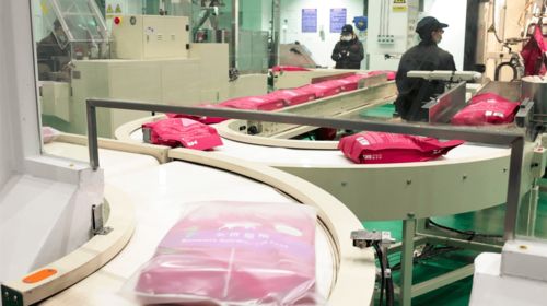 玫斯宠物食品首启媒体探厂 以“透明管理”重塑行业信任，市政管理咨询模式受全城关注